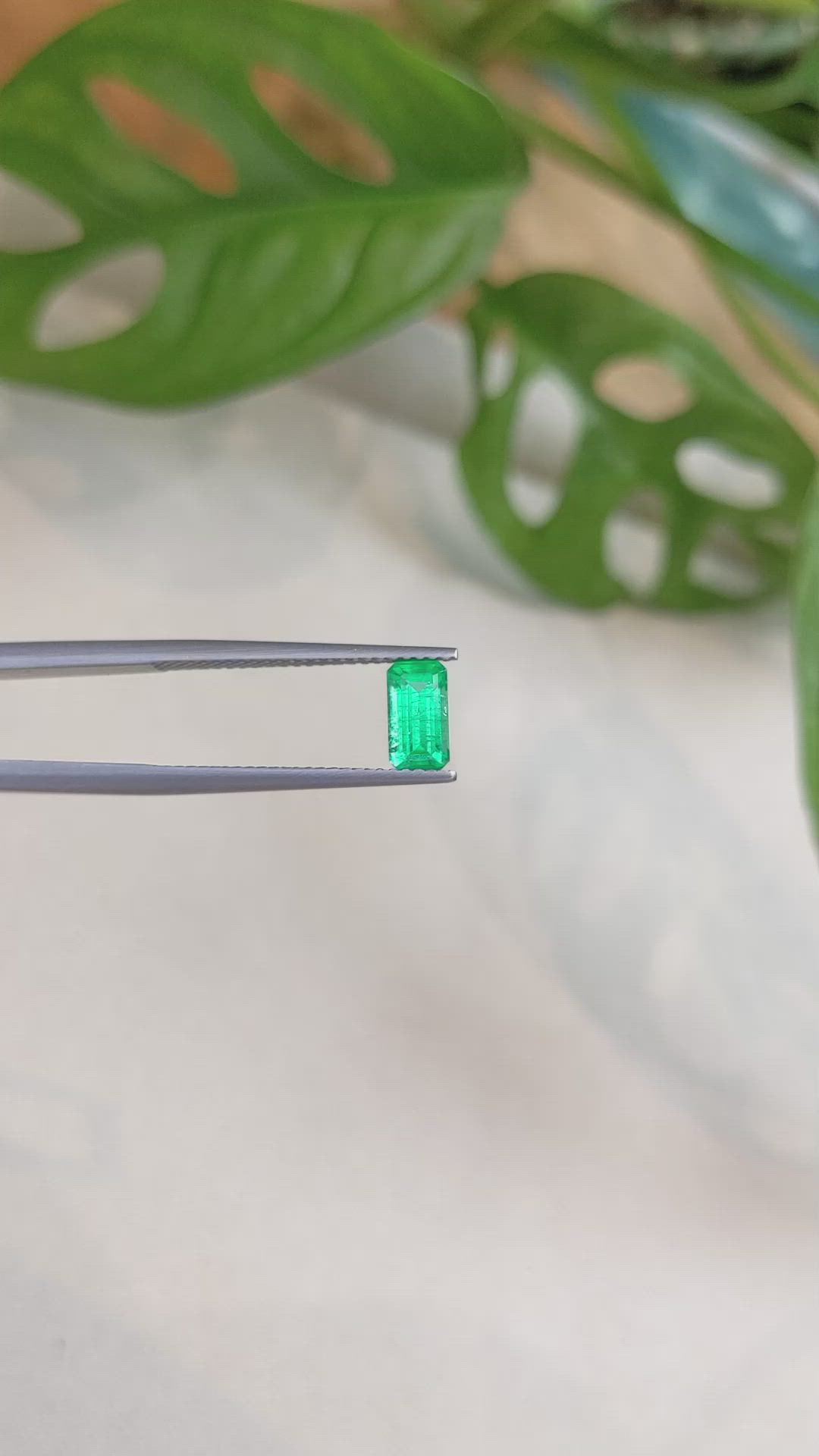 0.73 Ct. Emerald from Russia Size Video