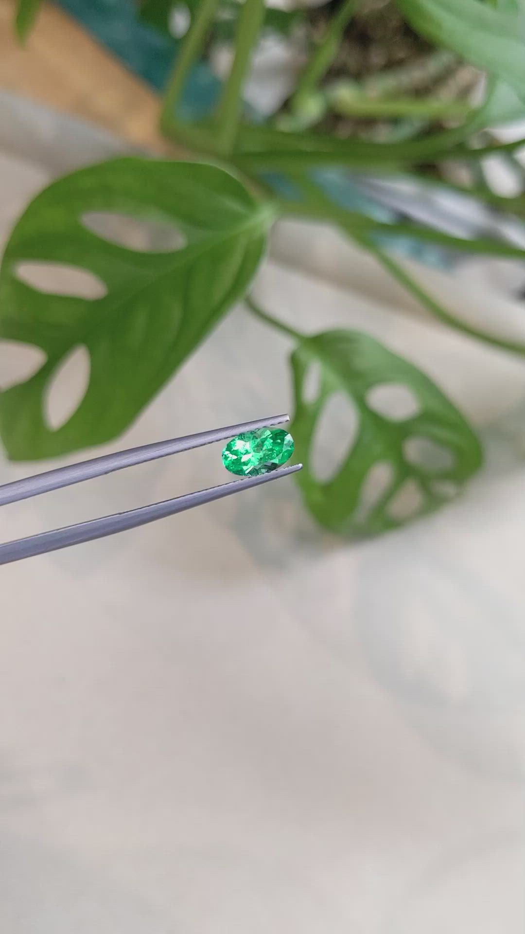 0.83 Ct. Emerald from Russia Size Video