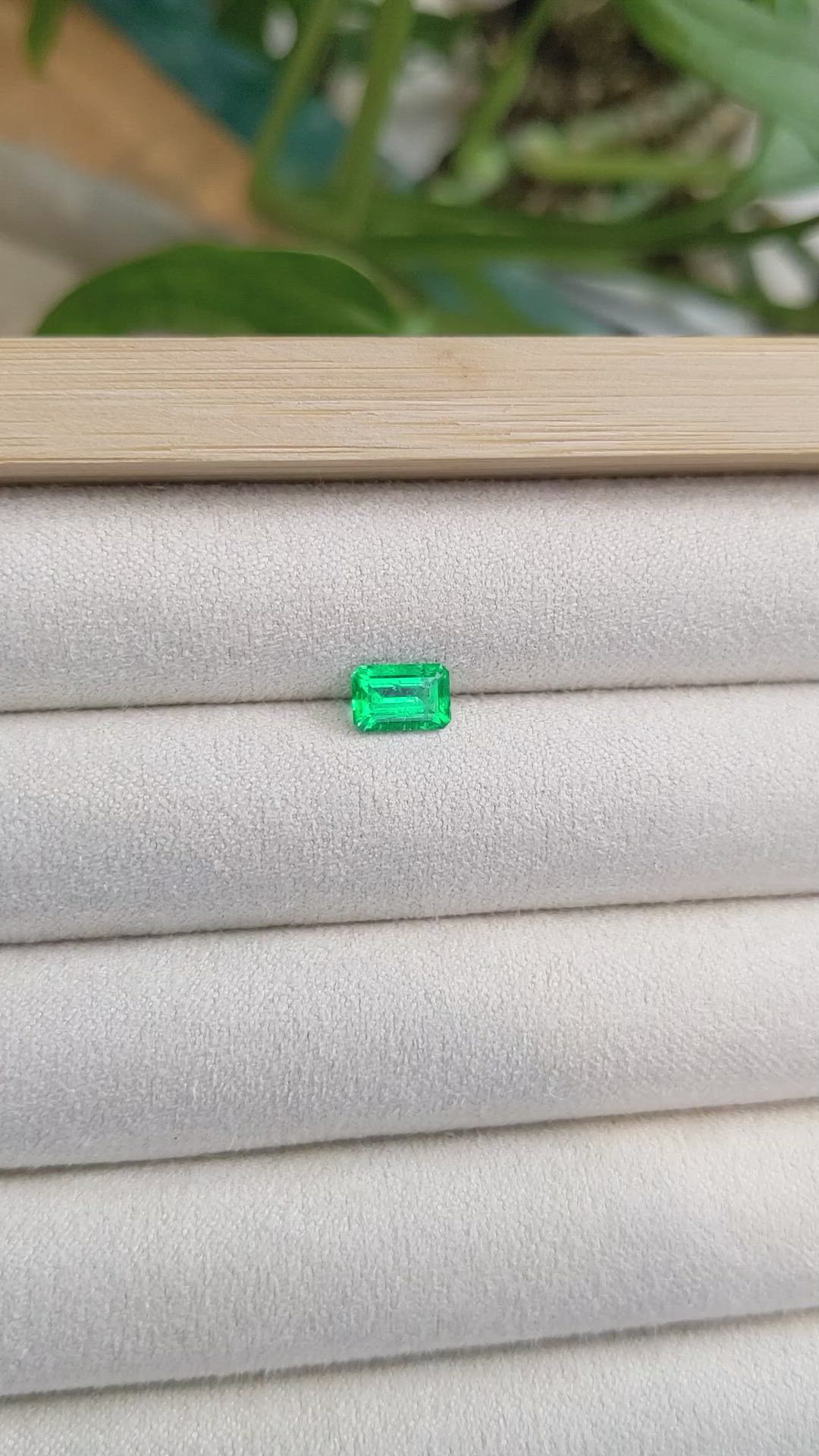 0.82 Ct. Emerald from Russia Size Video