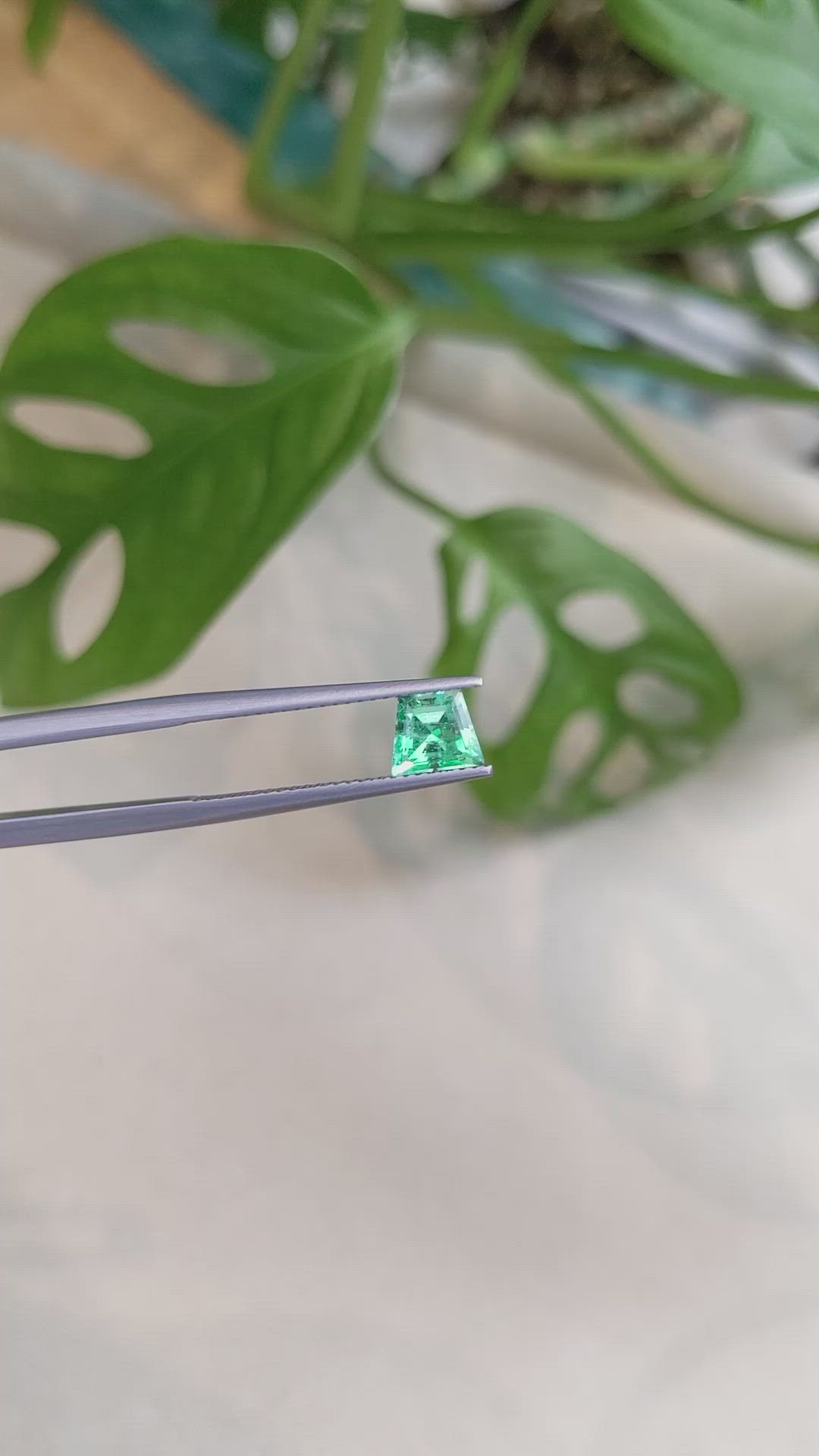 0.89 Ct. Emerald from Russia Size Video