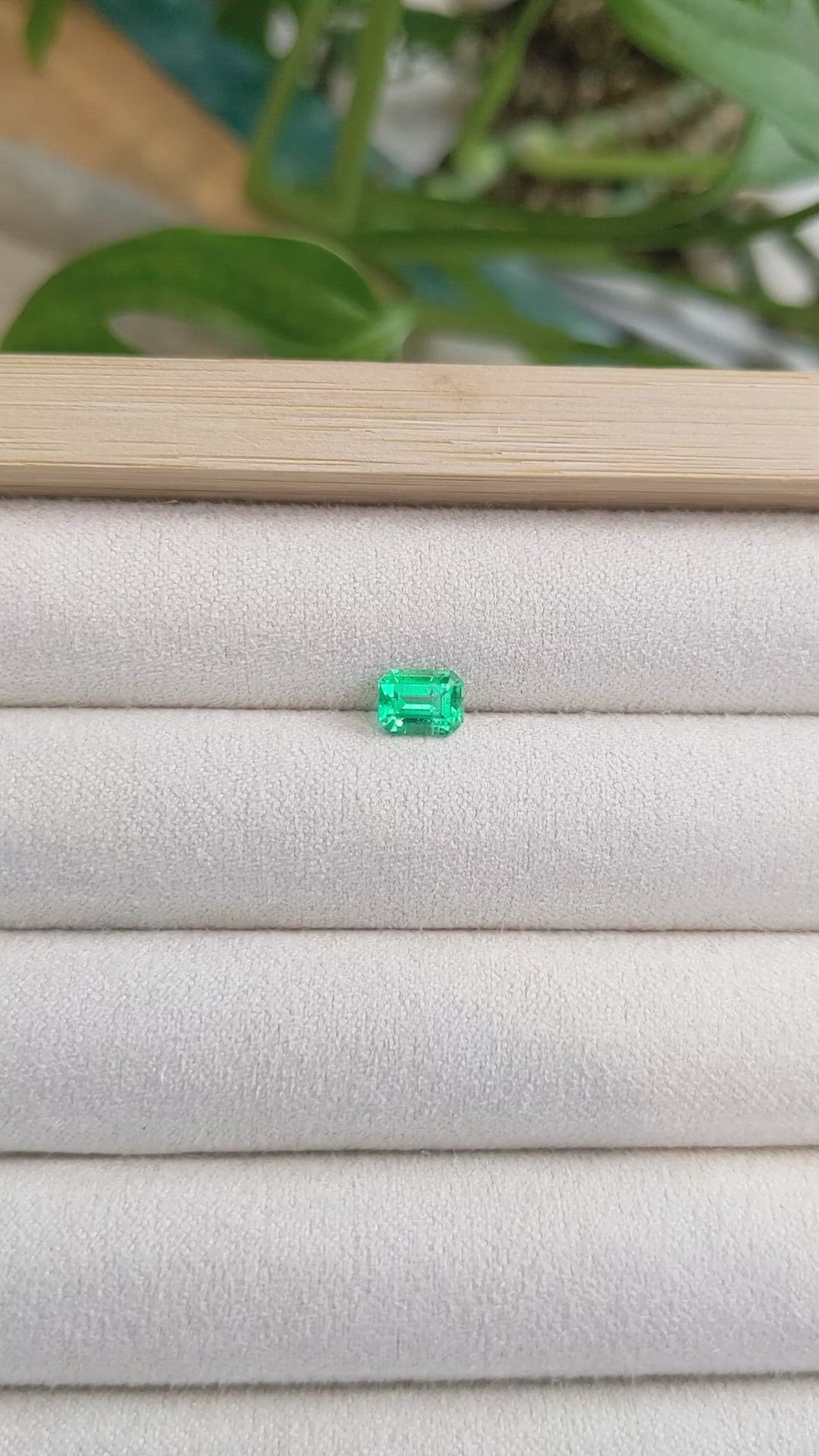 0.83 Ct. Emerald from Russia Size Video