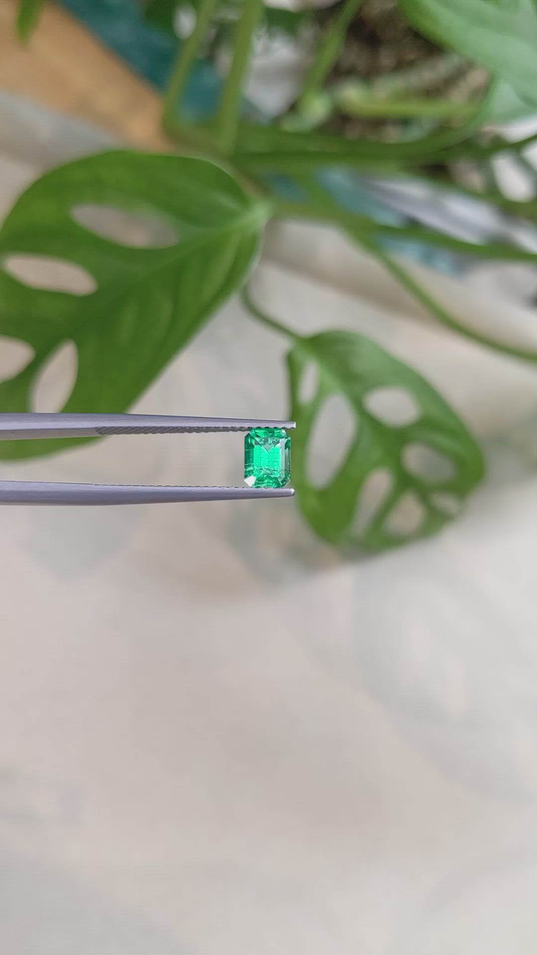 0.83 Ct. Emerald from Russia Size Video