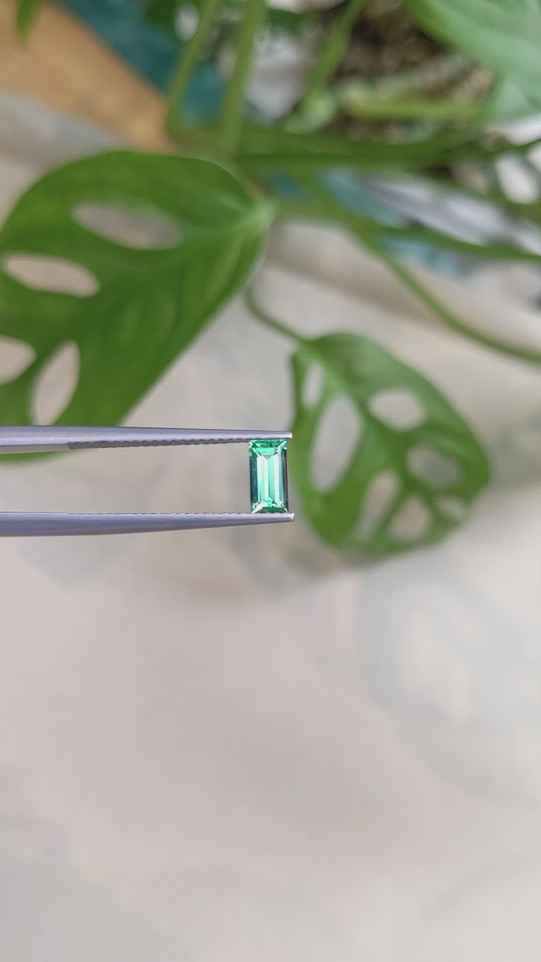 0.51 Ct. Emerald from Russia Size Video