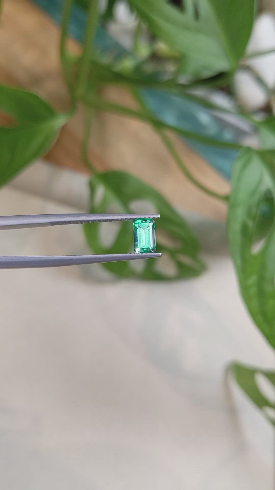 0.73 Ct. Emerald from Russia Size Video