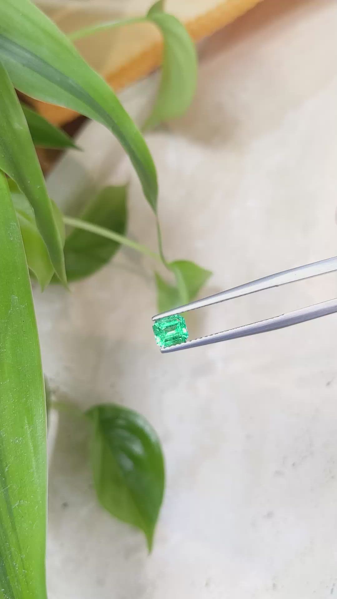 0.56 Ct. Emerald from Russia Size Video