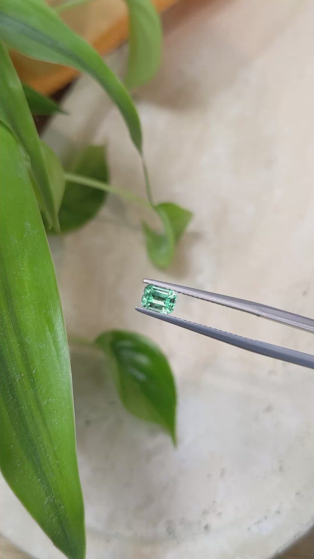 0.55 Ct. Emerald from Russia Size Video