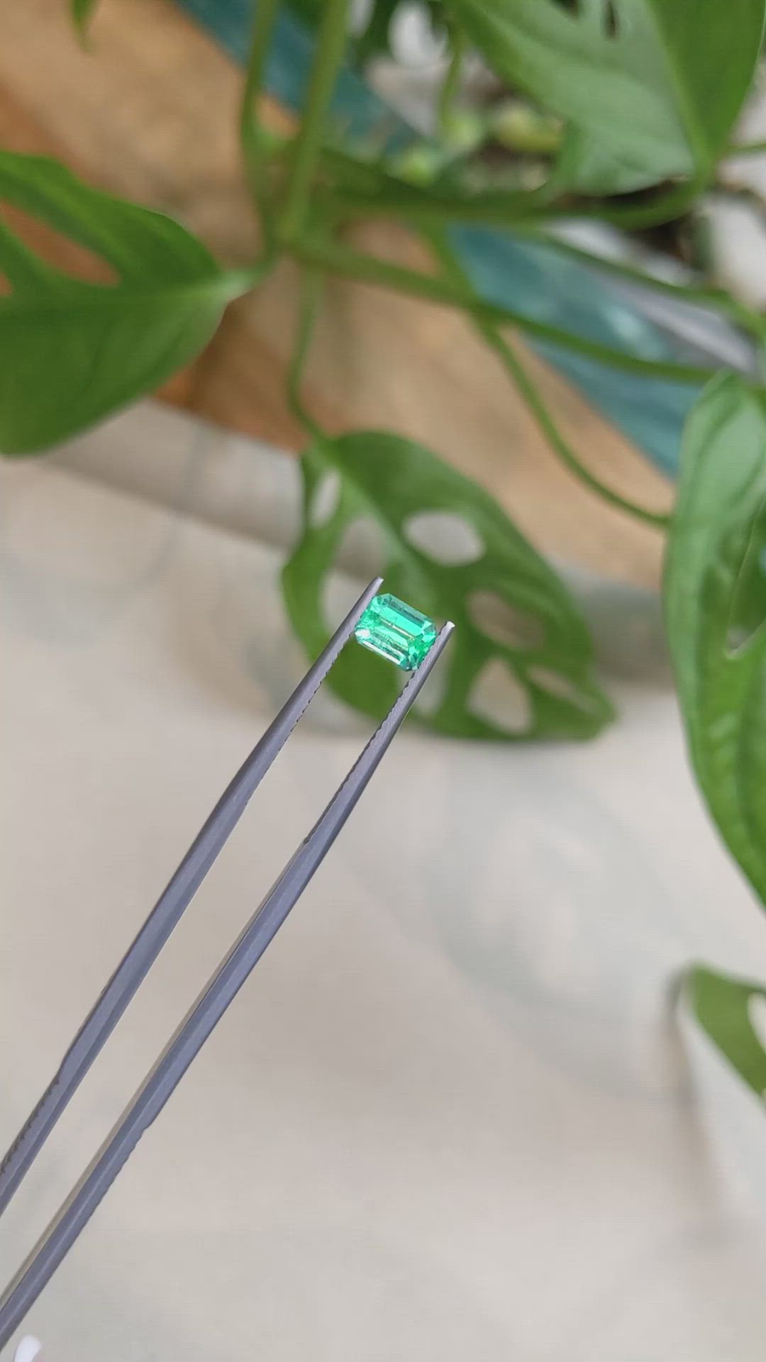 0.72 Ct. Emerald from Russia Size Video