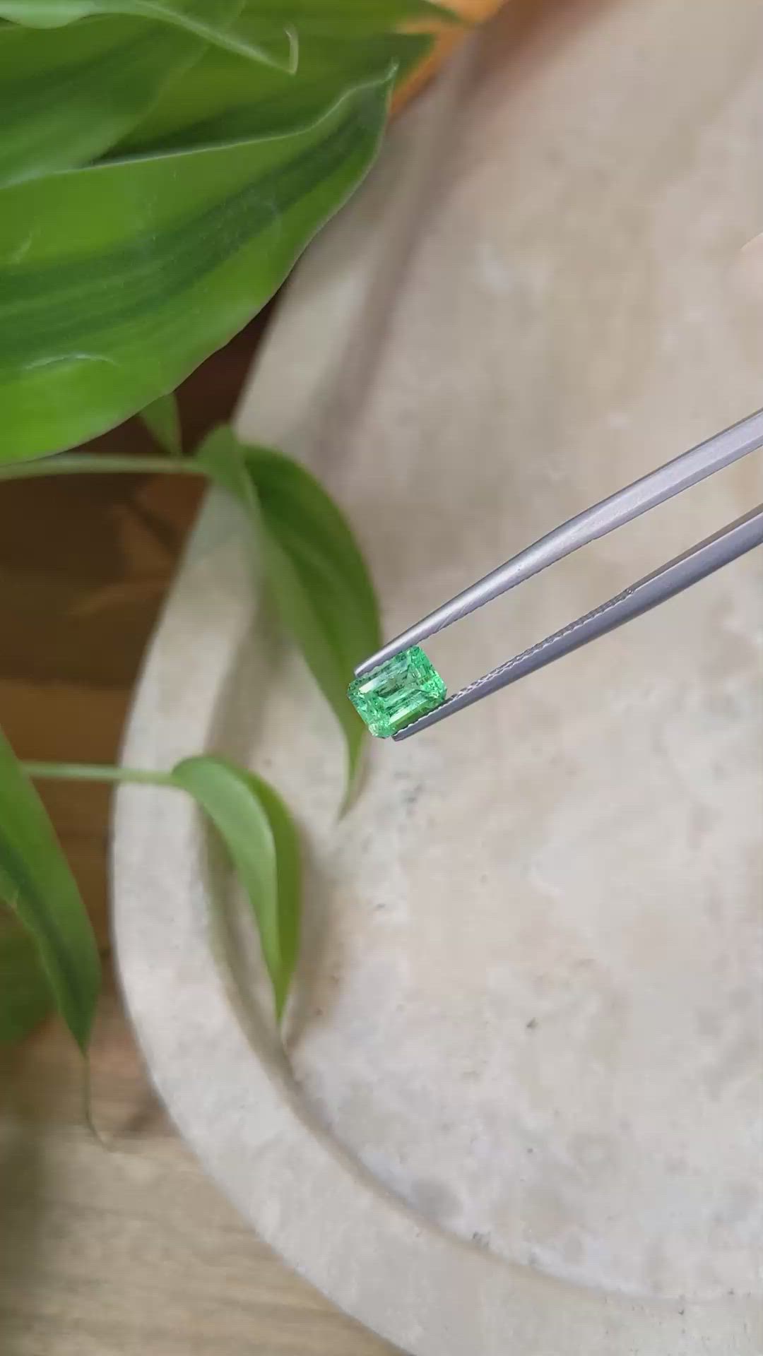 0.80 Ct. Emerald from Russia Size Video