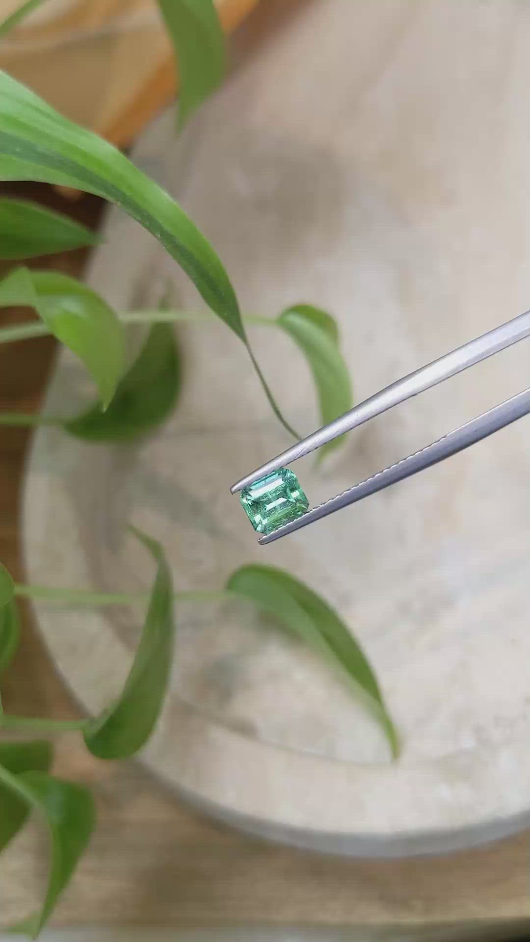 0.82 Ct. Emerald from Russia Size Video