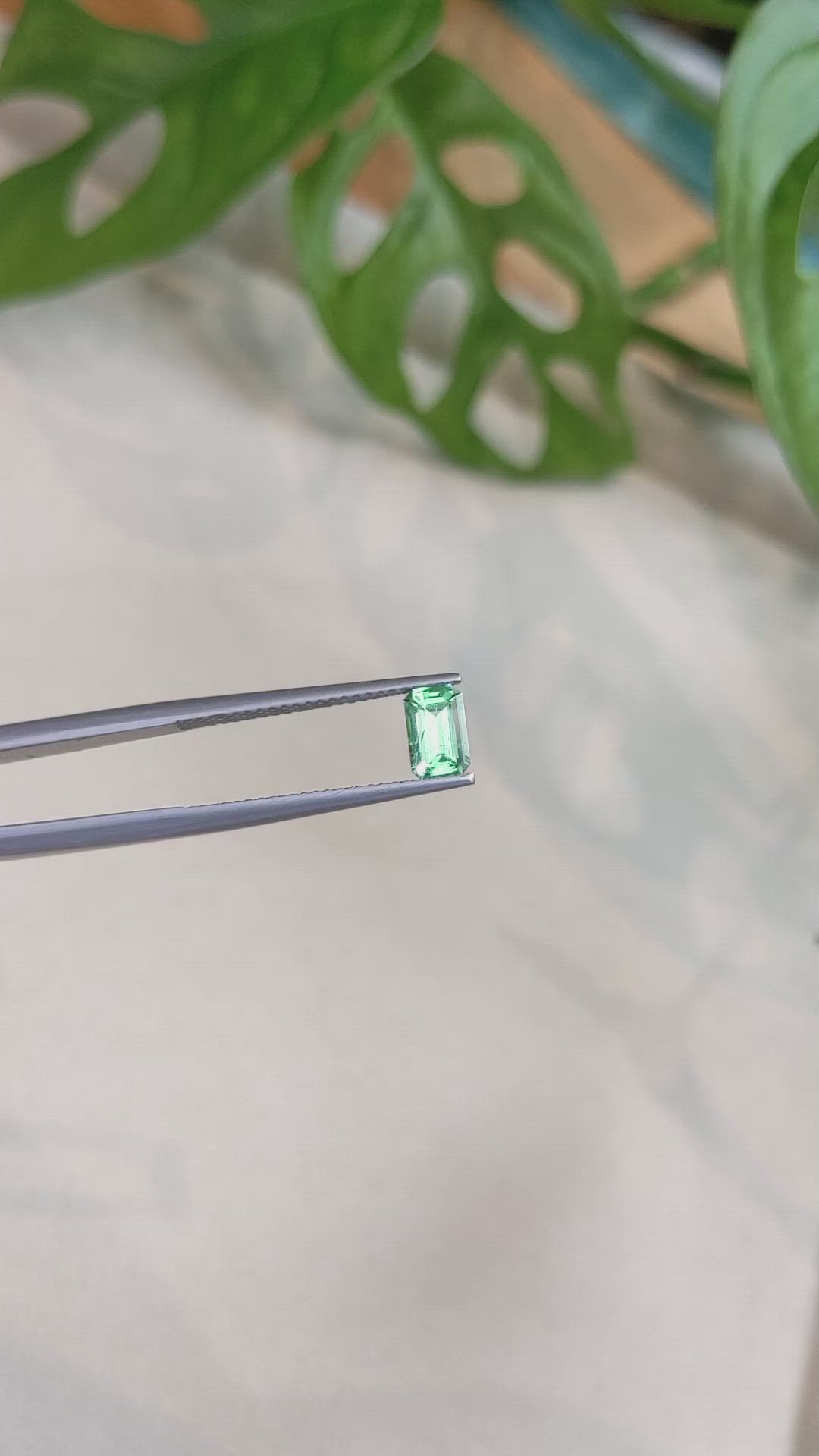 0.60 Ct. Emerald from Russia Size Video