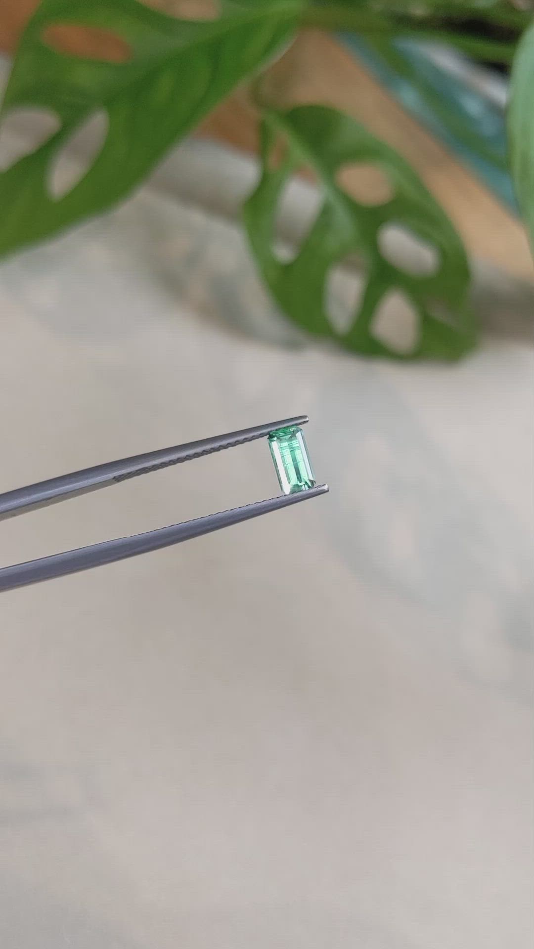 0.56 Ct. Emerald from Russia Size Video