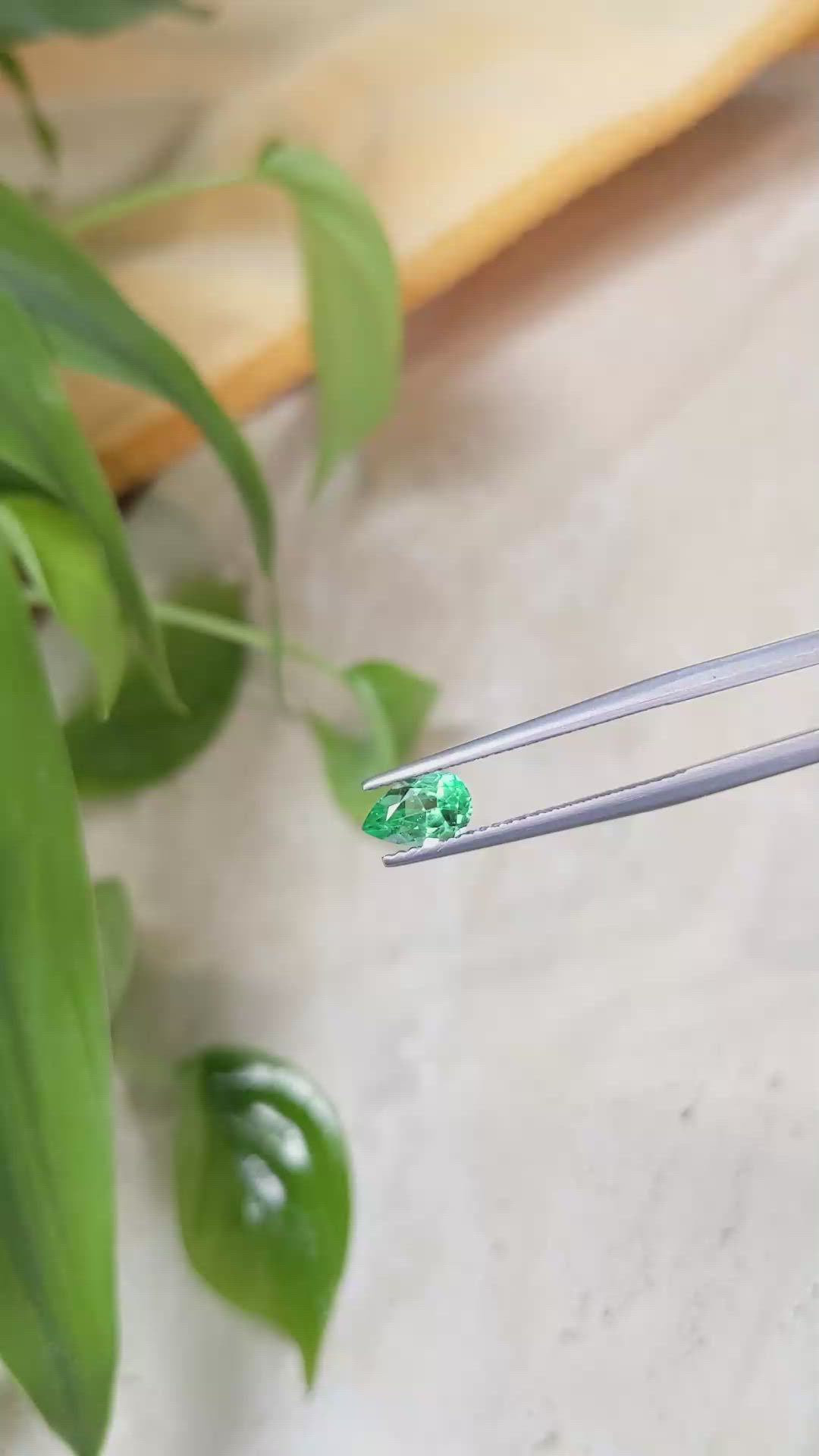 0.66 Ct. Emerald from Russia Size Video