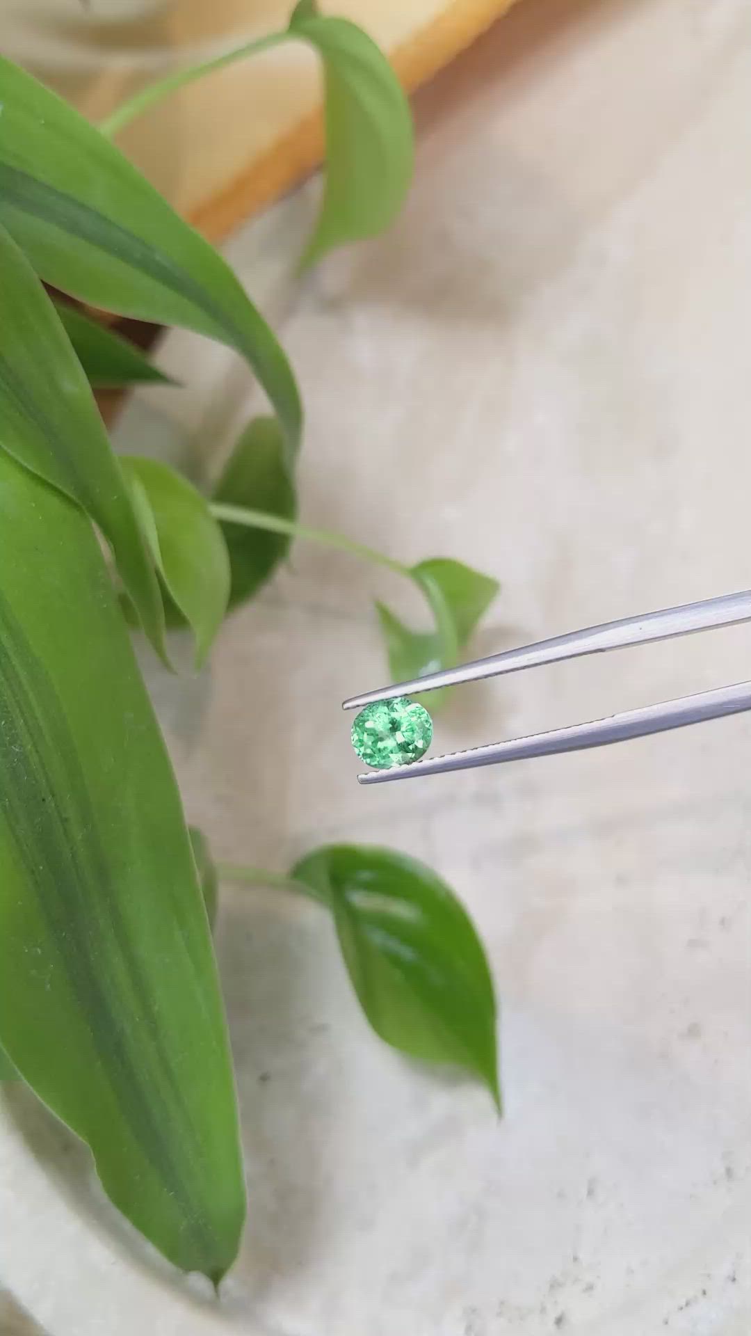 0.82 Ct. Emerald from Russia Size Video