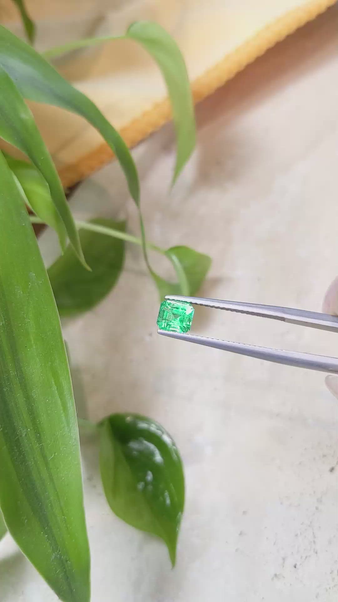 0.82 Ct. Emerald from Russia Size Video