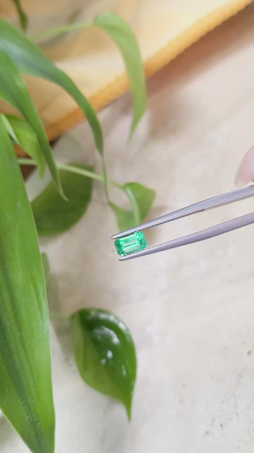 0.82 Ct. Emerald from Russia Size Video