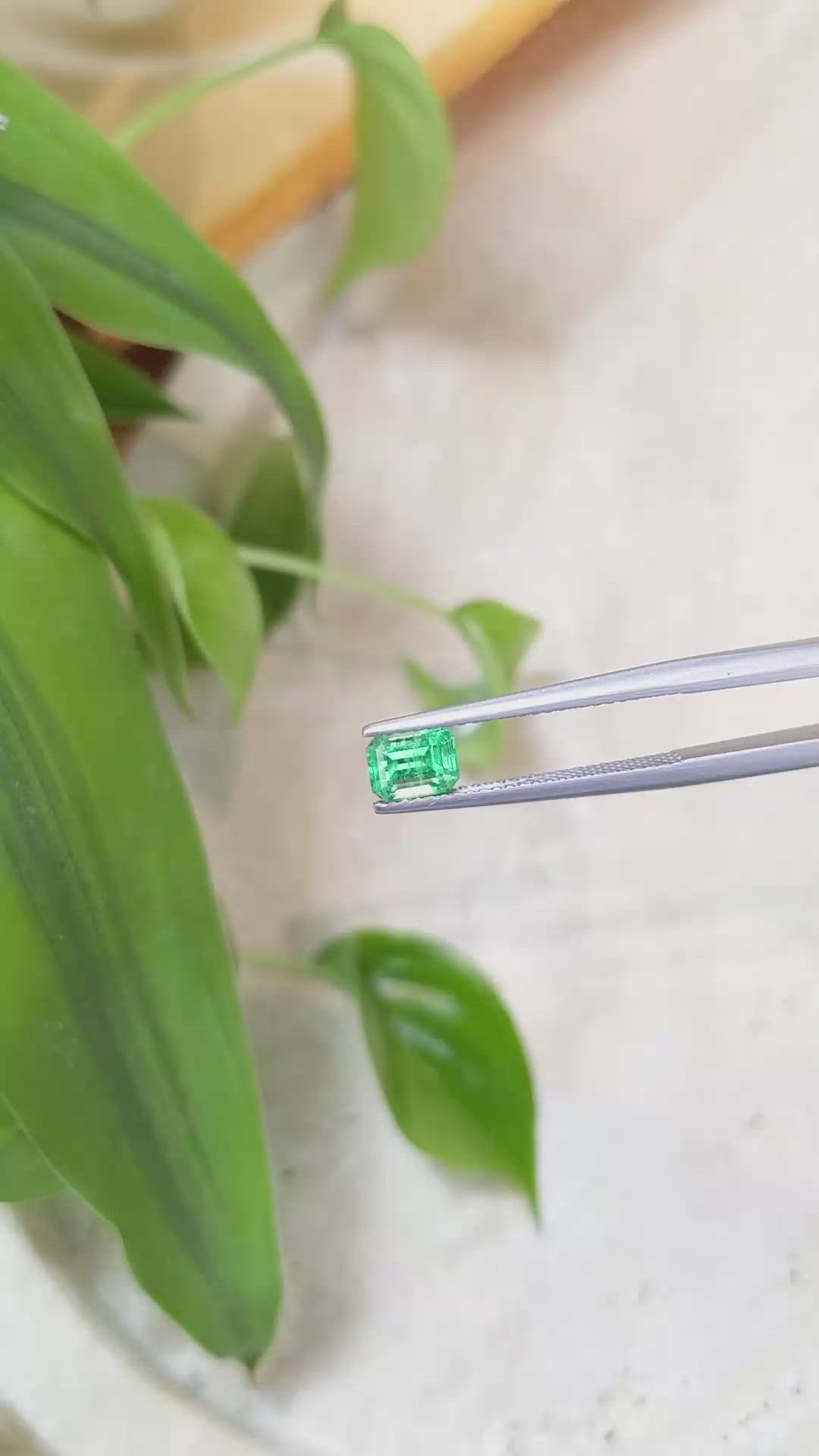 0.76 Ct. Emerald from Russia Size Video