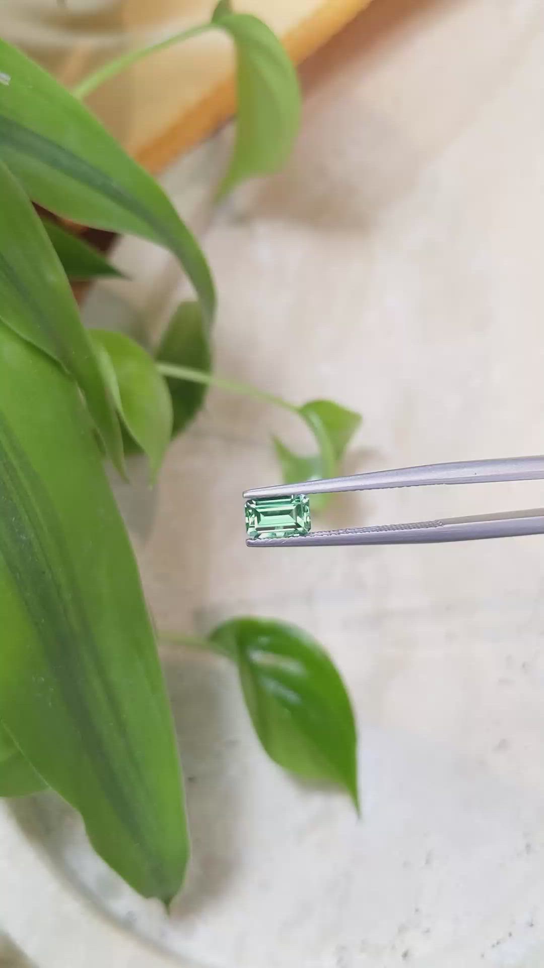 0.79 Ct. Emerald from Russia Size Video