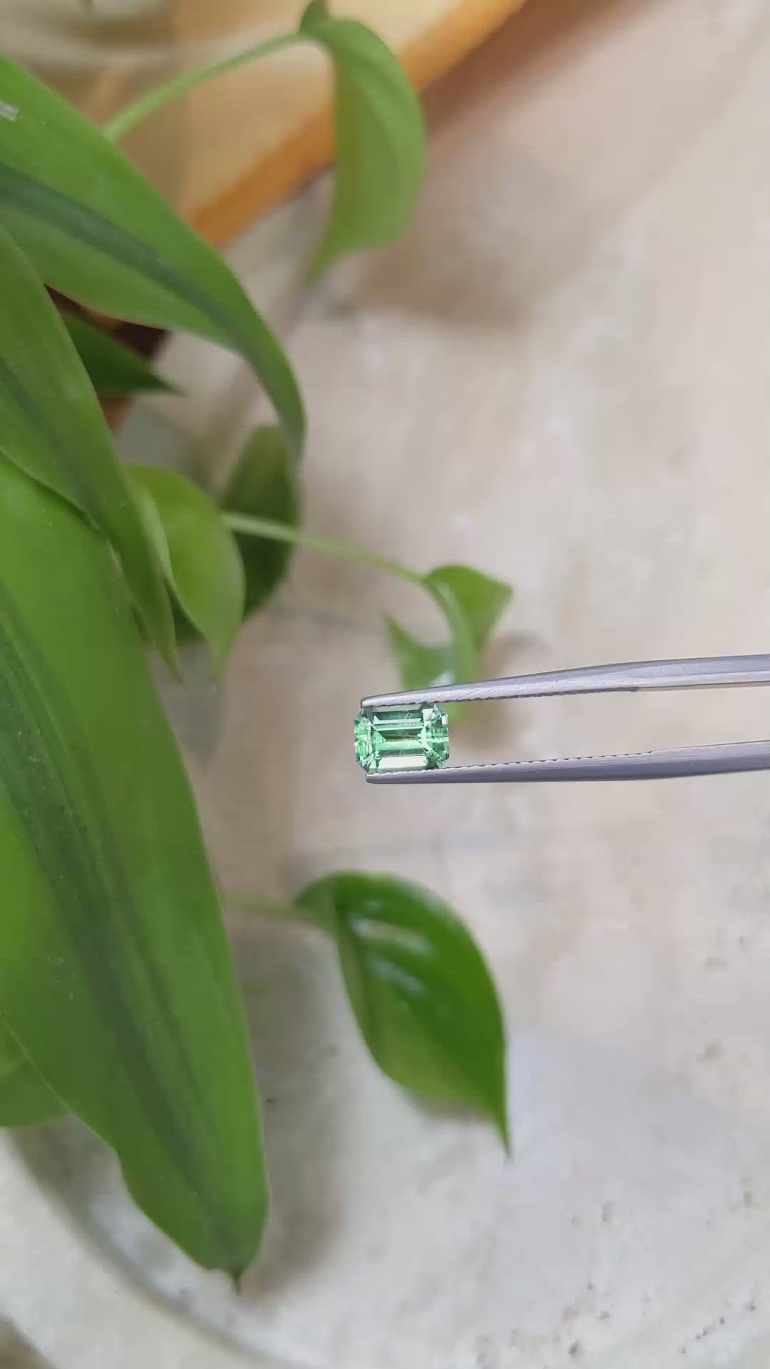 0.85 Ct. Emerald from Russia Size Video