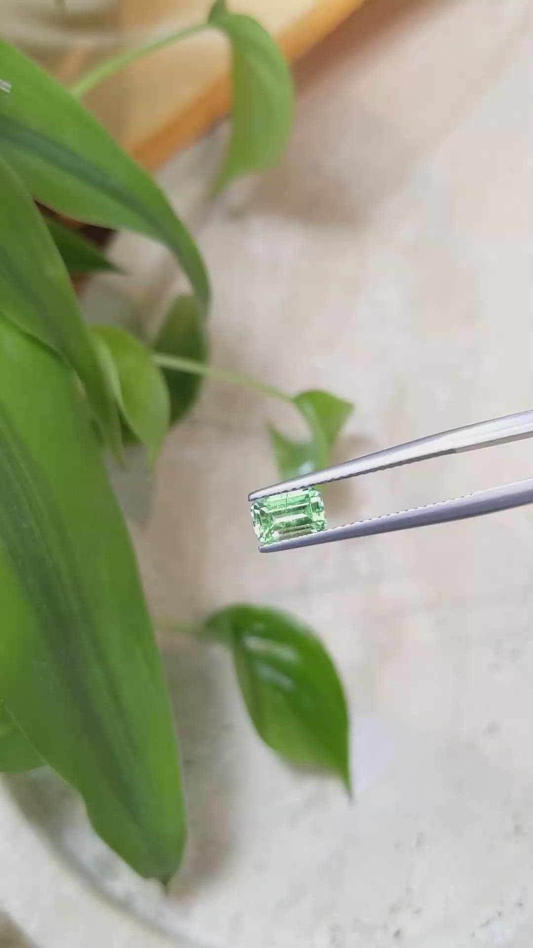 0.84 Ct. Emerald from Russia Size Video