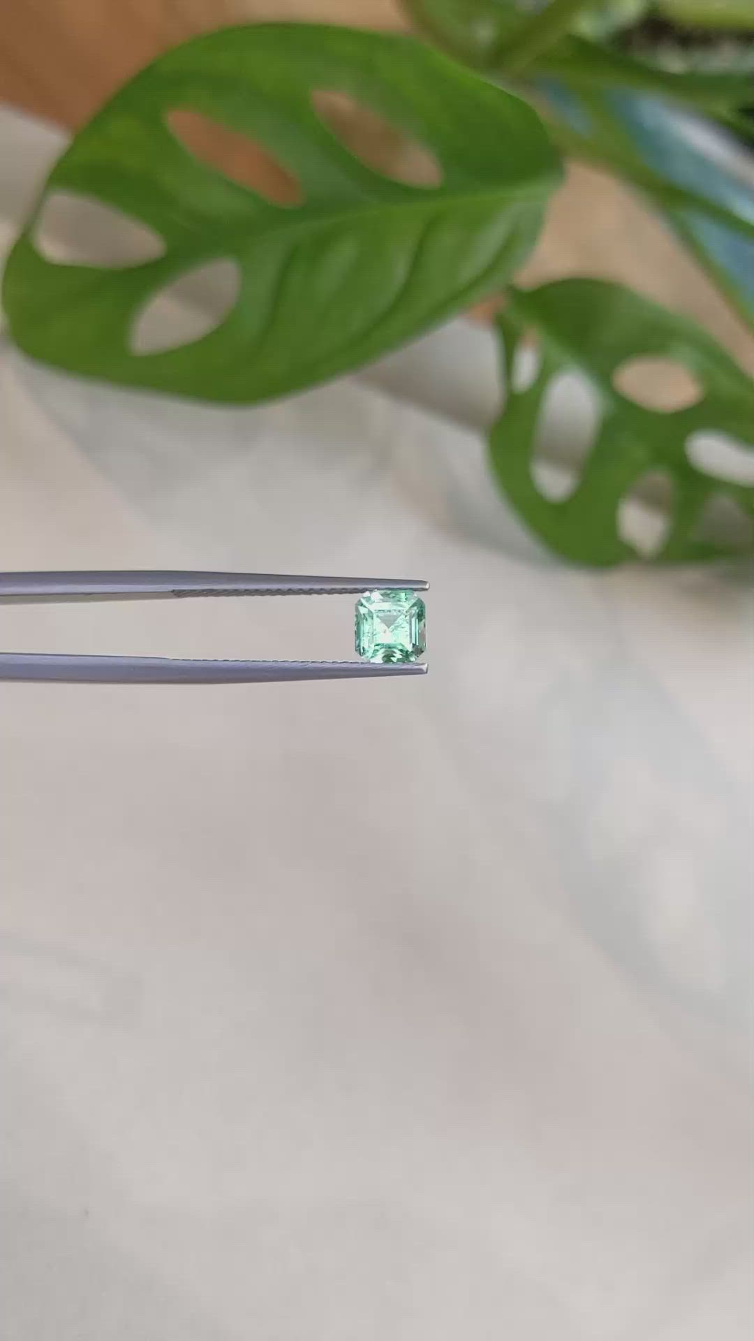 0.98 Ct. Emerald from Russia Size Video