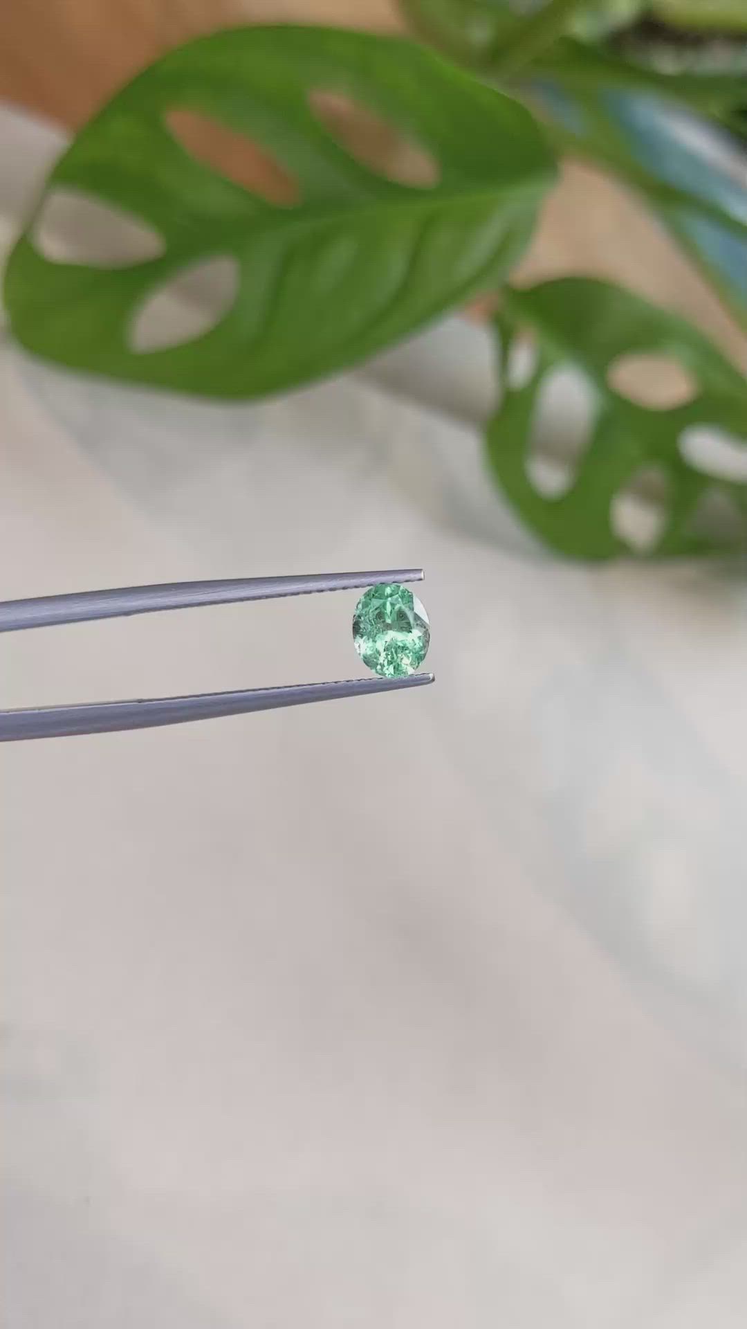 0.80 Ct. Emerald from Russia Size Video