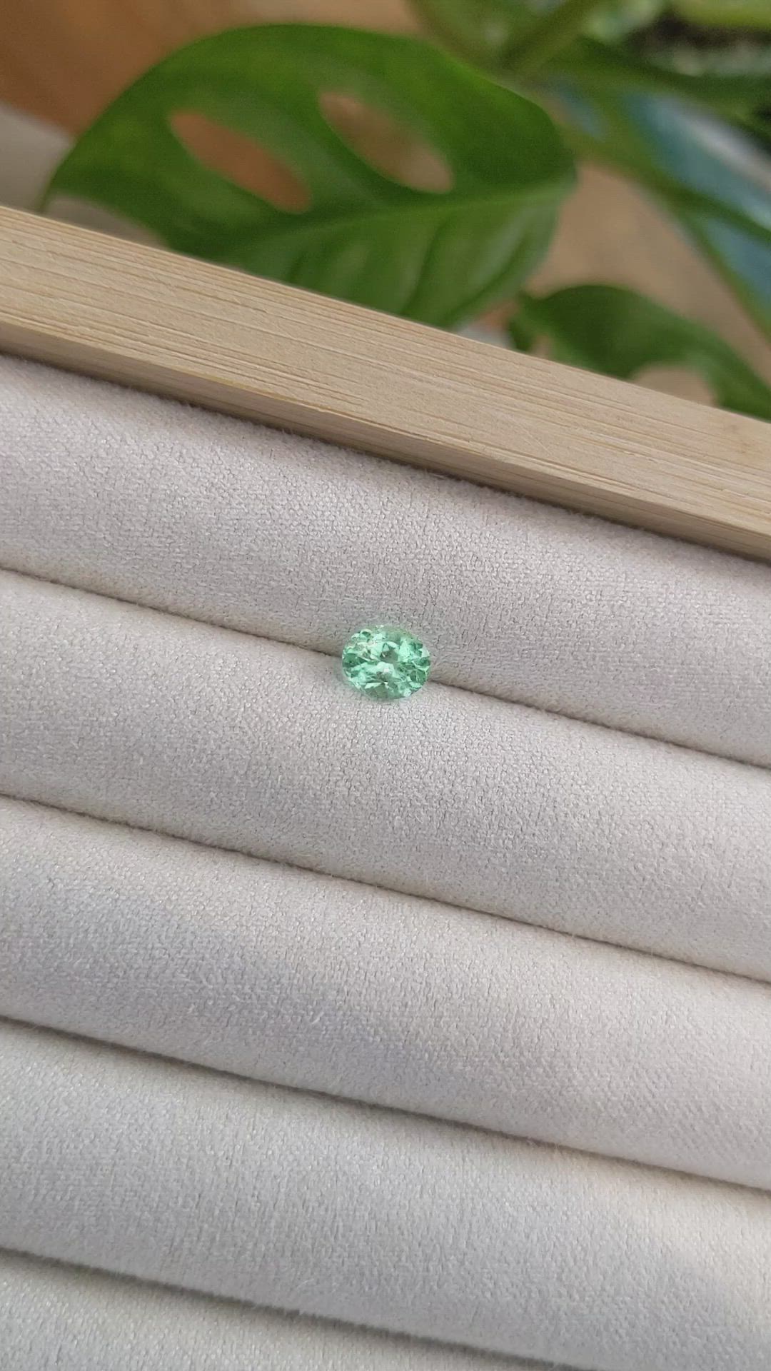 0.80 Ct. Emerald from Russia Size Video