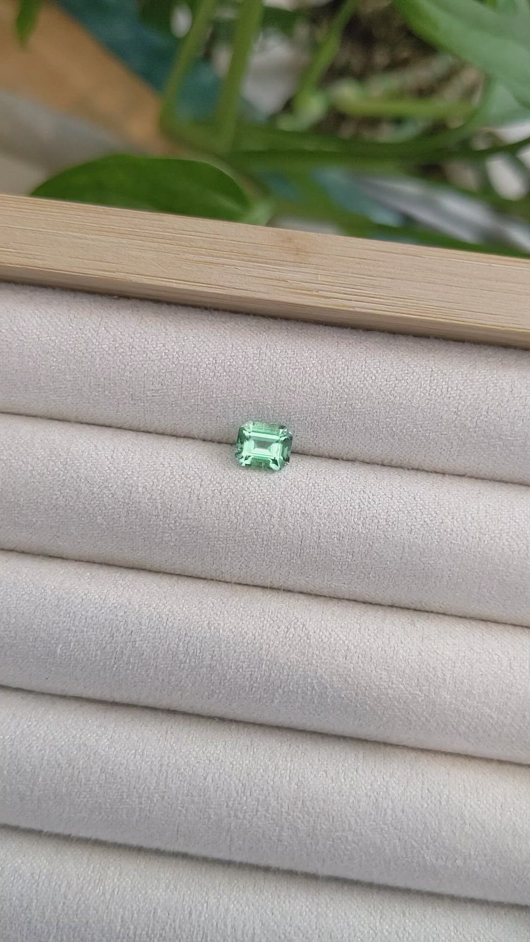 0.83 Ct. Emerald from Russia Size Video