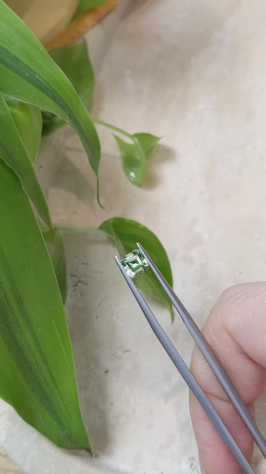 0.81 Ct. Emerald from Russia Size Video