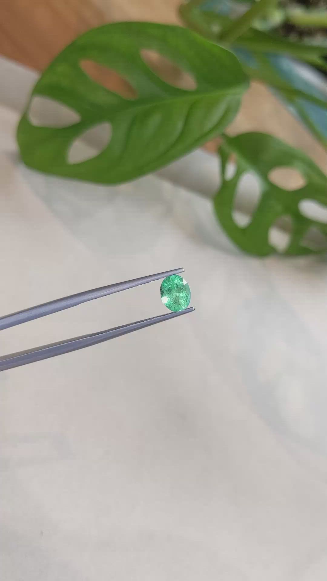 0.89 Ct. Emerald from Russia Size Video