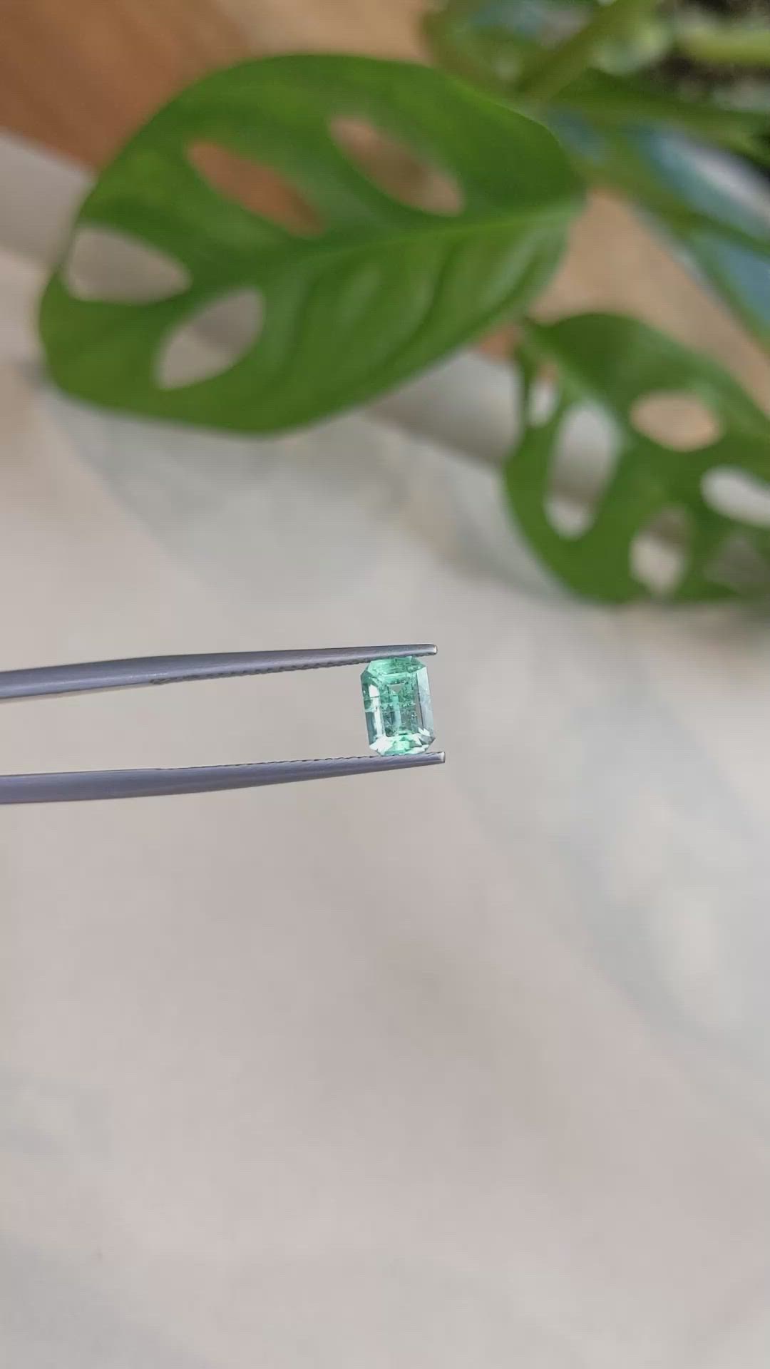 0.76 Ct. Emerald from Russia Size Video