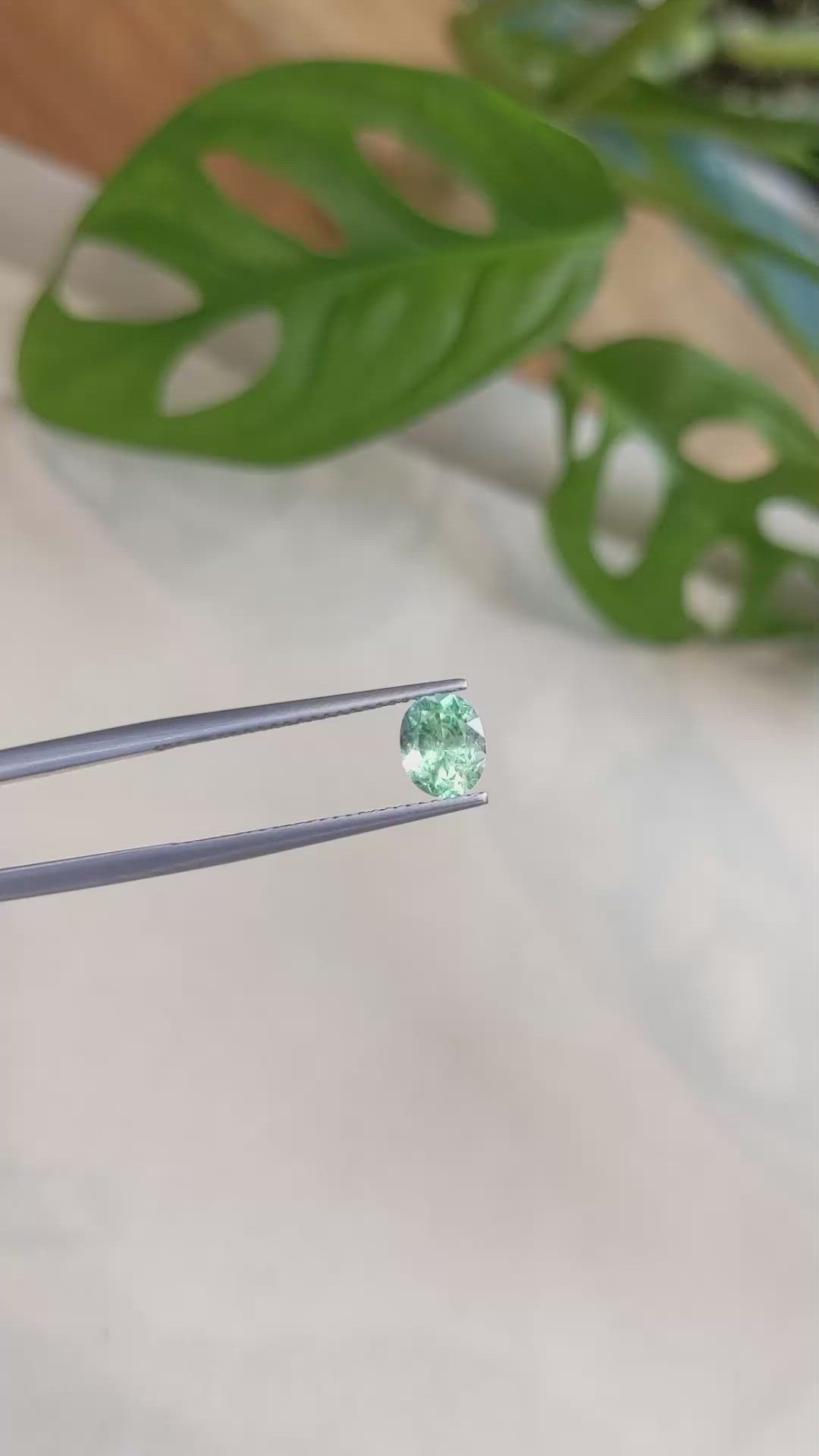 0.80 Ct. Emerald from Russia Size Video