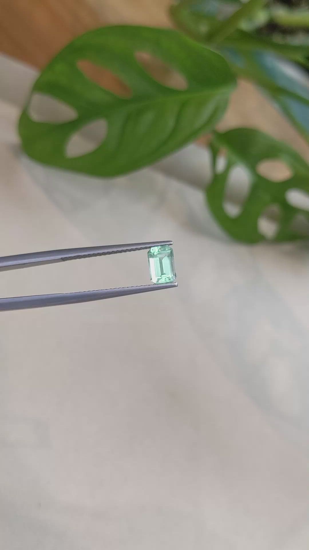 0.82 Ct. Emerald from Russia Size Video