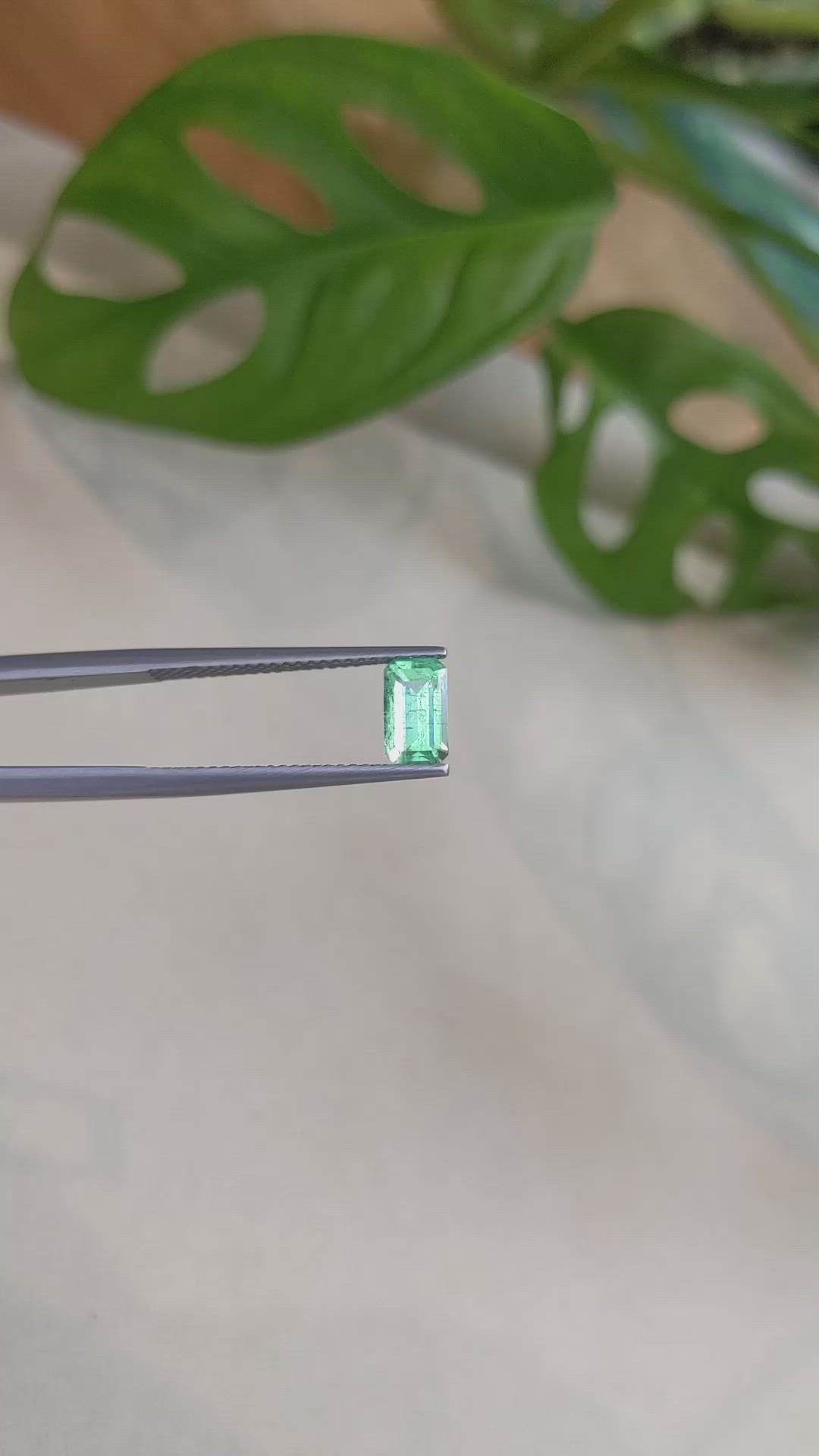0.93 Ct. Emerald from Russia Size Video