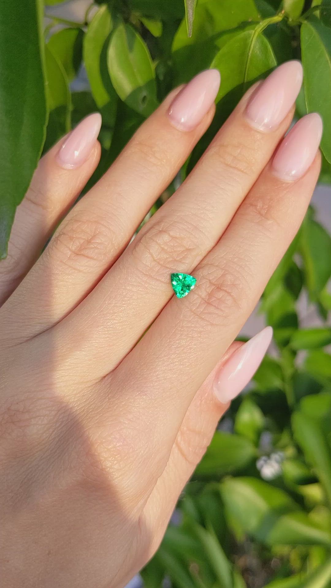 0.53 Ct. Emerald from Colombia Size Video