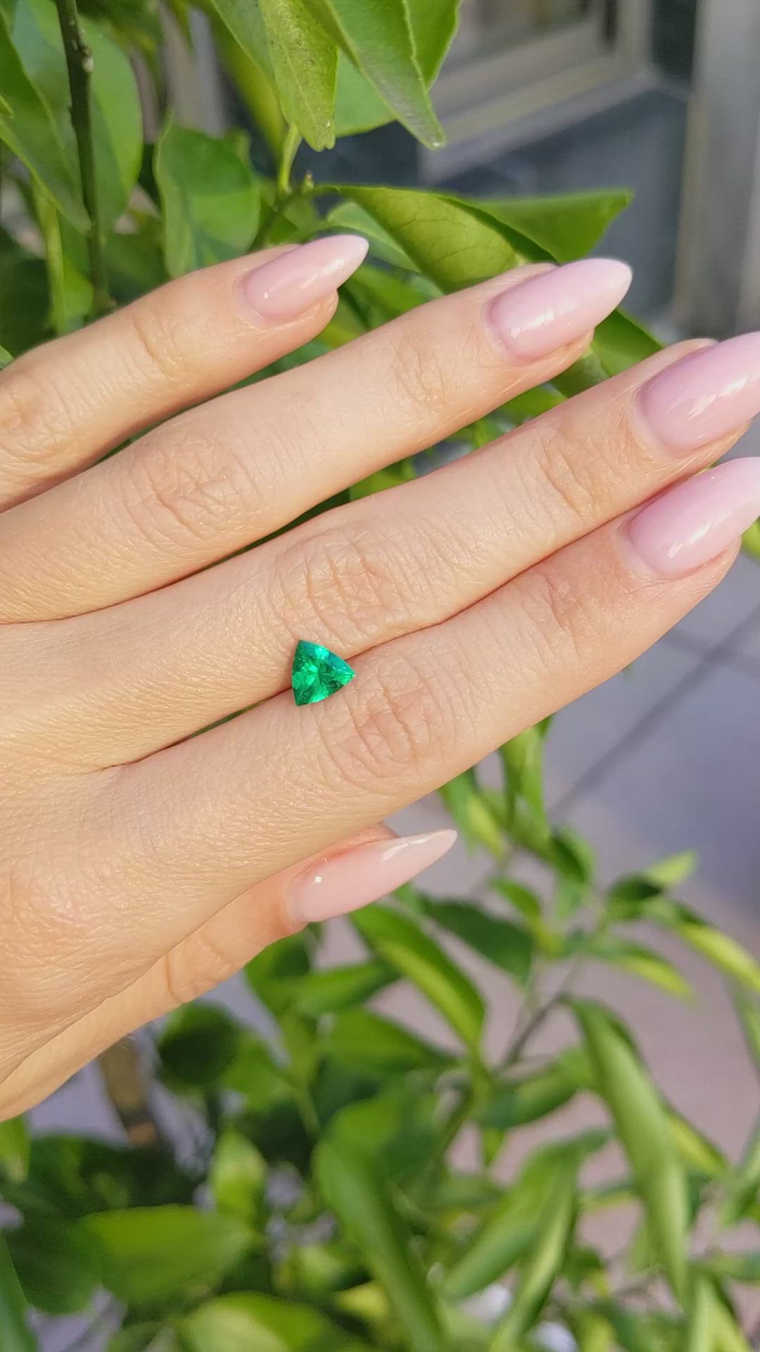 0.72 Ct. Emerald from Colombia Size Video