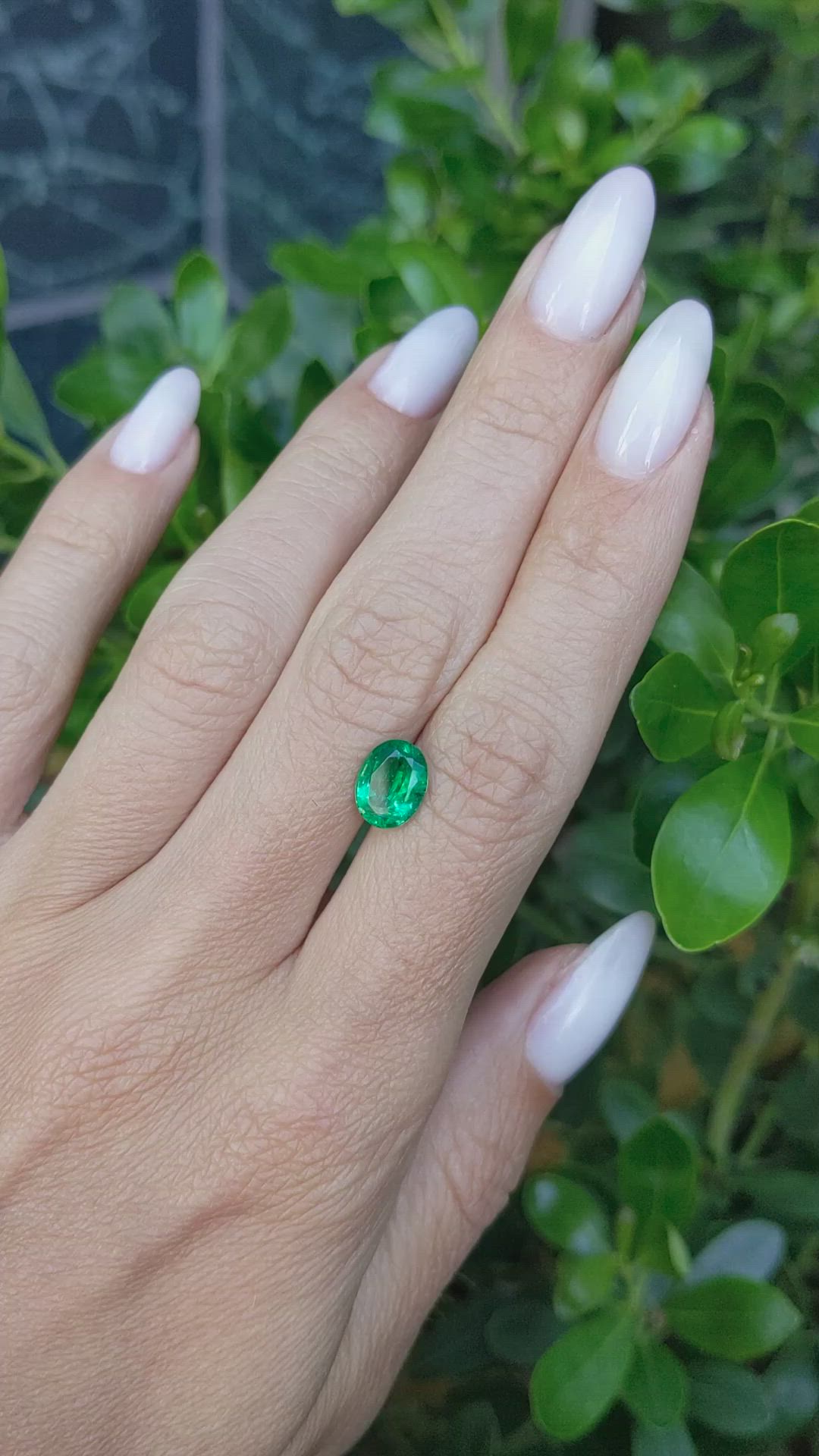 1.72 Ct. Emerald from Zambia Size Video