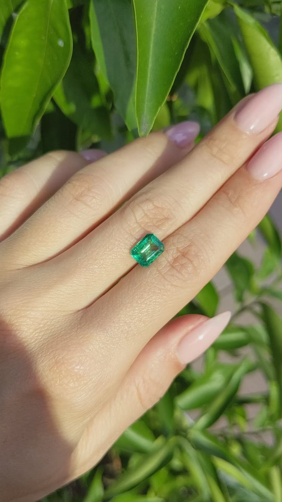 1.50 Ct. Emerald from Zambia Size Video