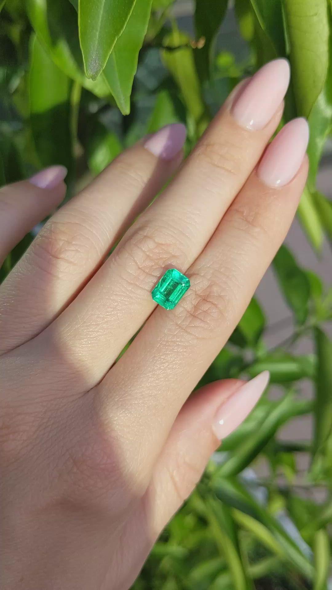 1.54 Ct. Emerald from Zambia Size Video