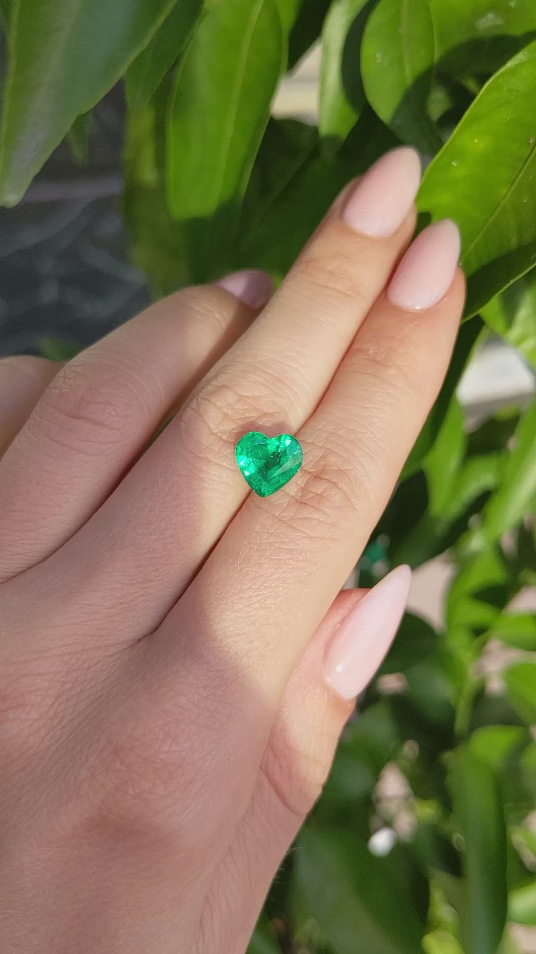 1.98 Ct. Emerald from Zambia Size Video