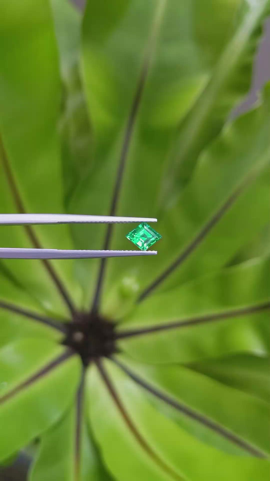 0.66 Ct. Emerald from Russia Size Video