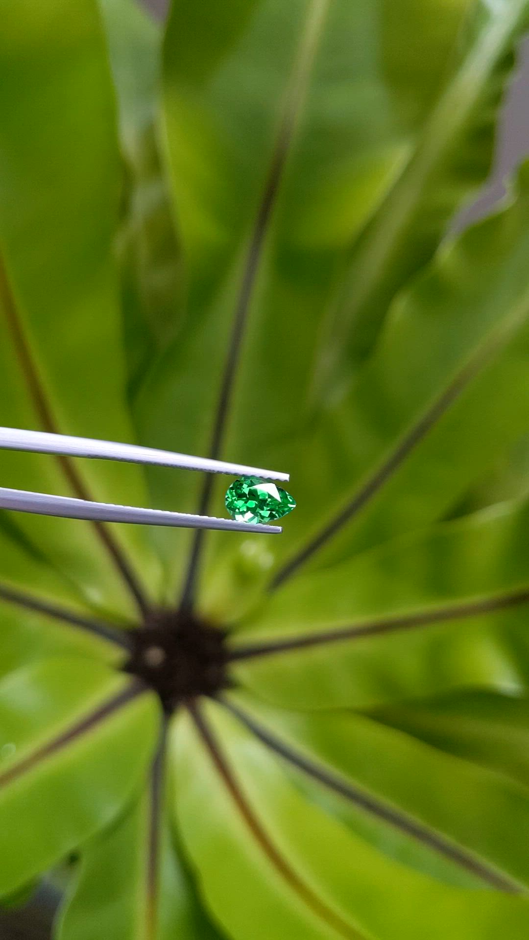 0.74 Ct. Emerald from Russia Size Video