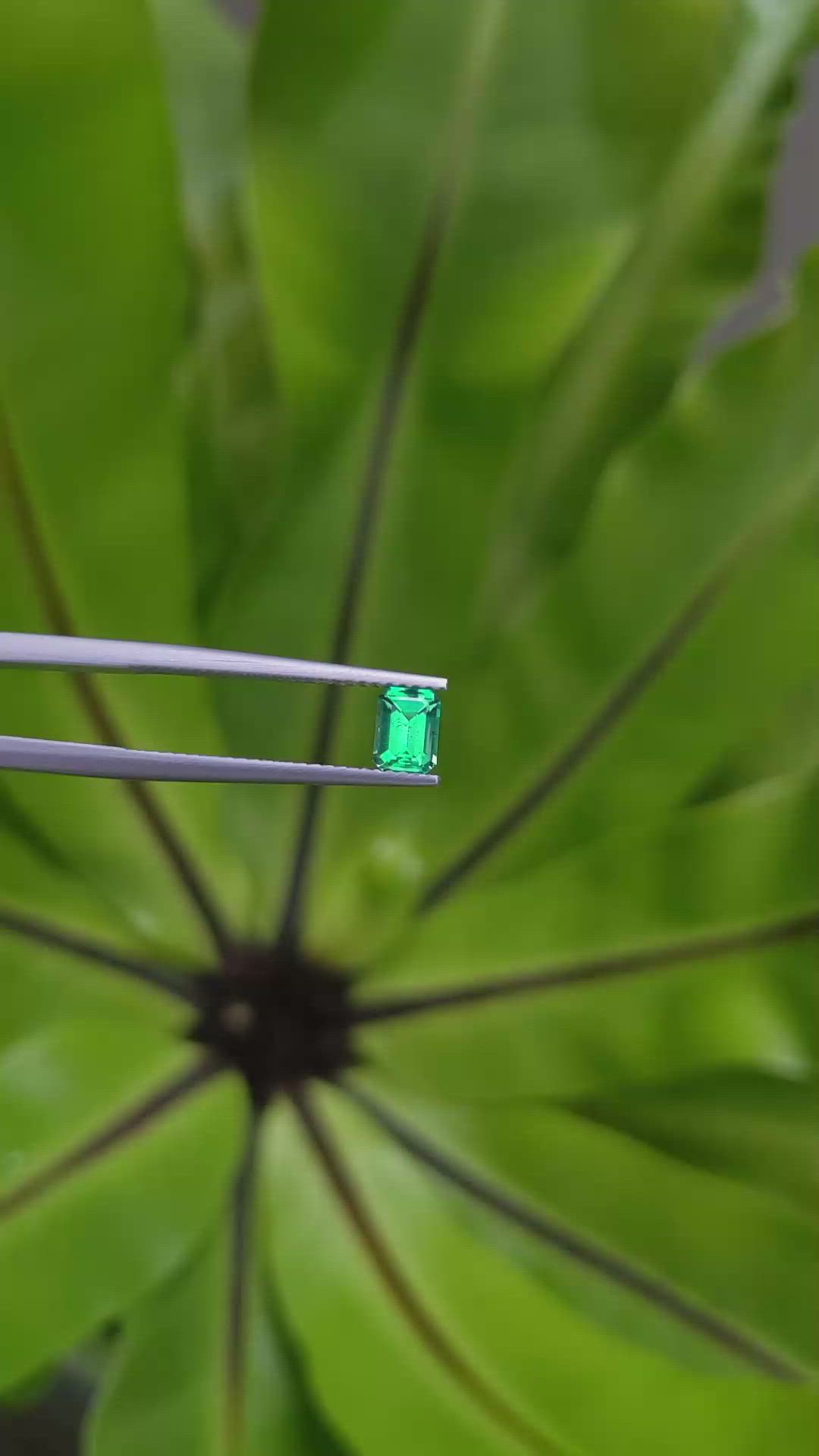 0.52 Ct. Emerald from Russia Size Video