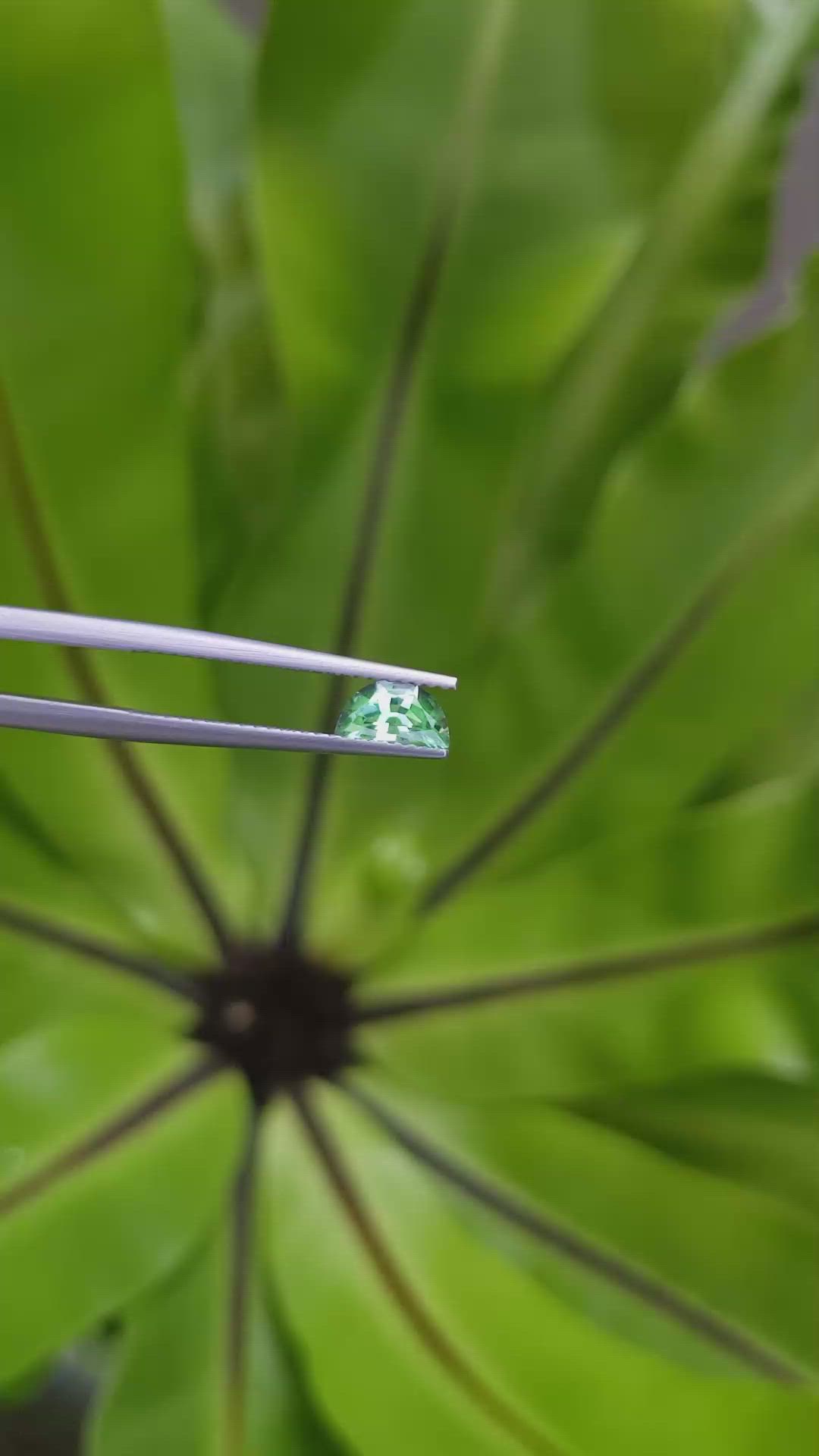 0.51 Ct. Emerald from Russia Size Video