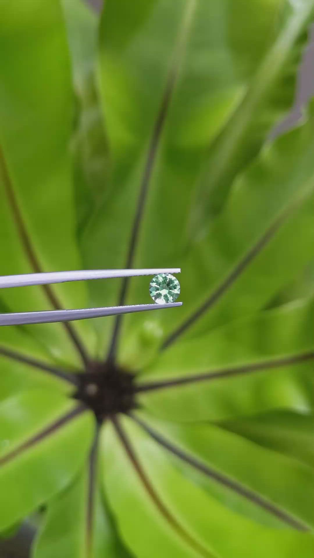 0.51 Ct. Emerald from Russia Size Video