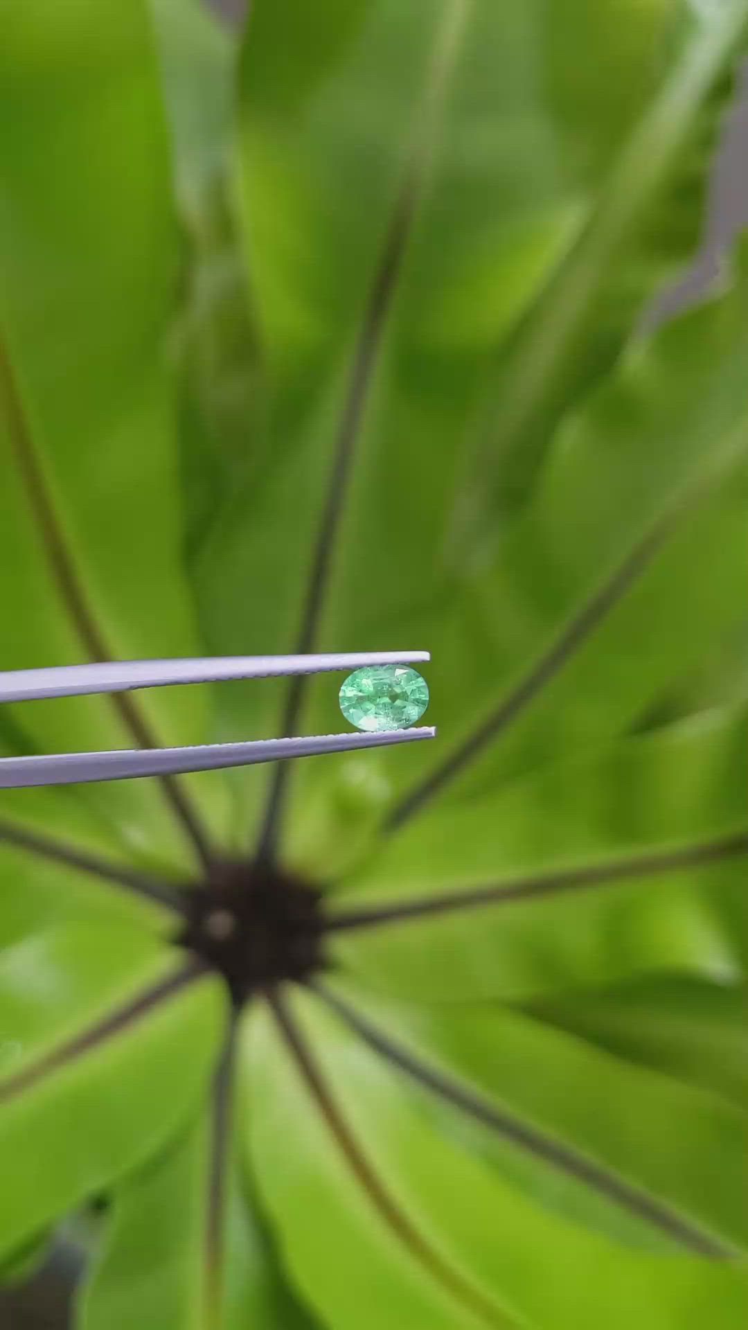 0.53 Ct. Emerald from Russia Size Video