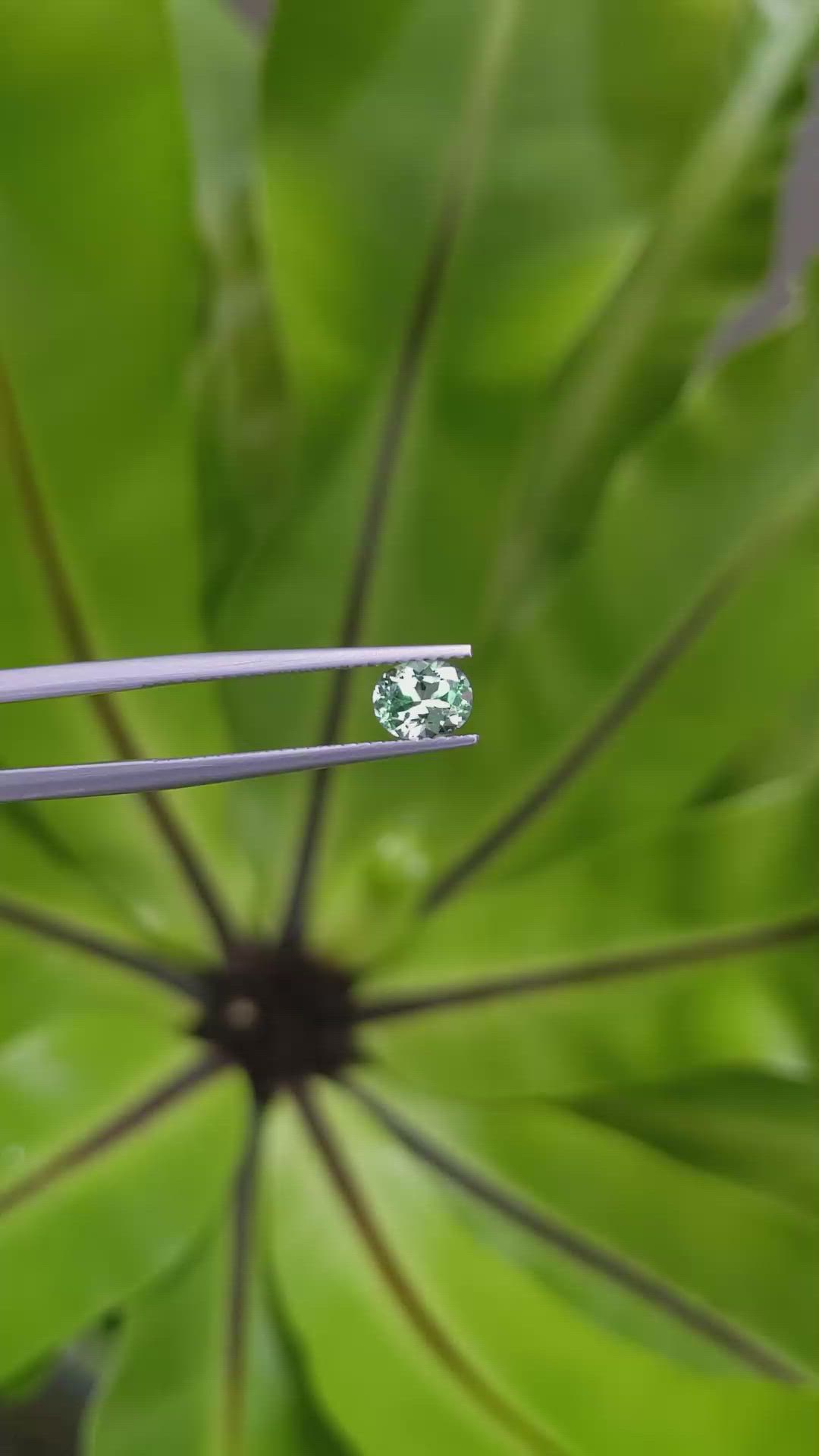 0.66 Ct. Emerald from Russia Size Video