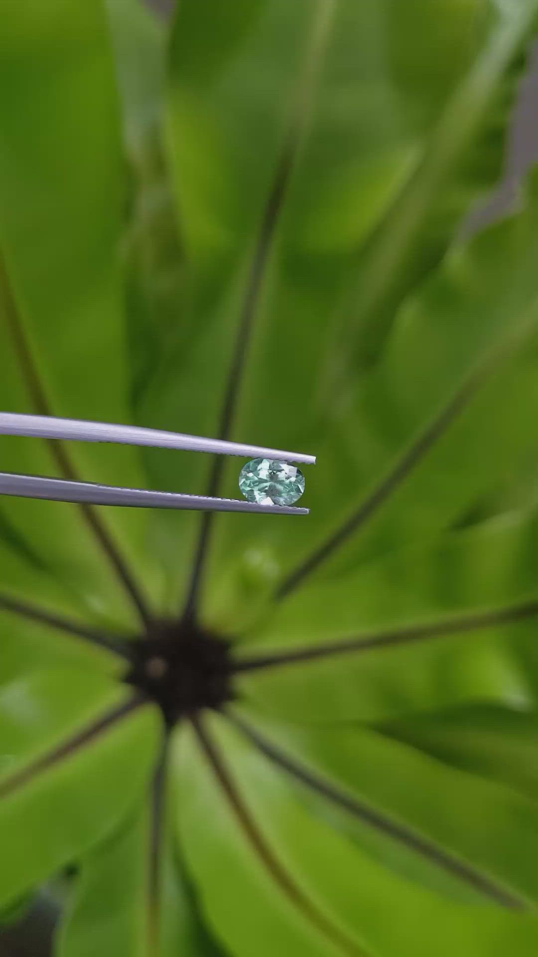 0.52 Ct. Emerald from Russia Size Video