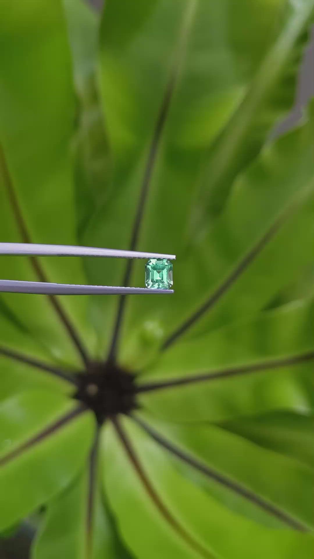 0.67 Ct. Emerald from Russia Size Video