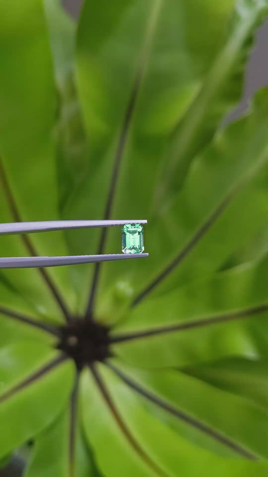 0.75 Ct. Emerald from Russia Size Video