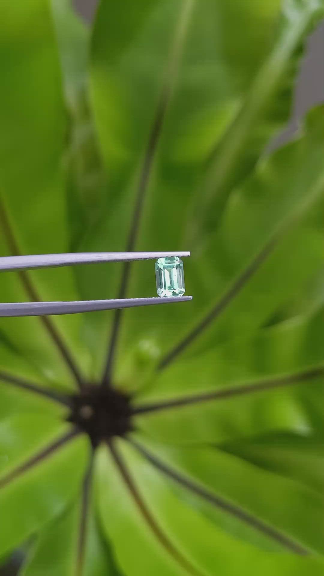 0.69 Ct. Emerald from Russia Size Video